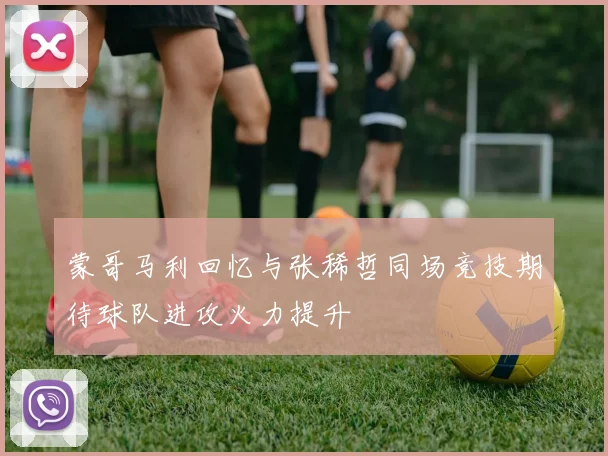 蒙哥马利回忆与张稀哲同场竞技期待球队进攻火力提升