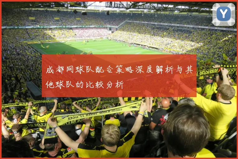 成都网球队配合策略深度解析与其他球队的比较分析